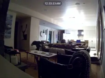 Un oso se cuela en una casa de California y llega hasta el frigorífico Un oso se cuela en una casa de California y llega hasta el frigorífico