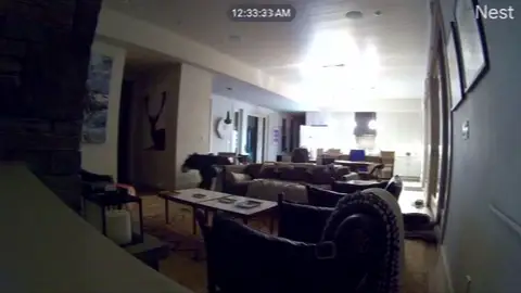 Un oso se cuela en una casa de California y llega hasta el frigorífico Un oso se cuela en una casa de California y llega hasta el frigorífico