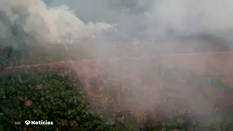 AMAZONAS AMAZONAS
