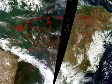 La Nasa muestra cómo arde el Amazonas La Nasa muestra cómo arde el Amazonas