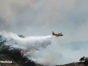agradecimiento nueva canarias agradecimiento nueva canarias