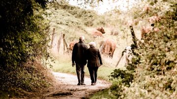 Matrimonio de ancianos Matrimonio de ancianos