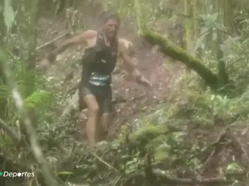 El deporte, conmocionado con el incendio en el Amazonas El deporte, conmocionado con el incendio en el Amazonas