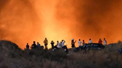 Estabilizado el incendio que obligó a desalojar 40 viviendas en Marbella