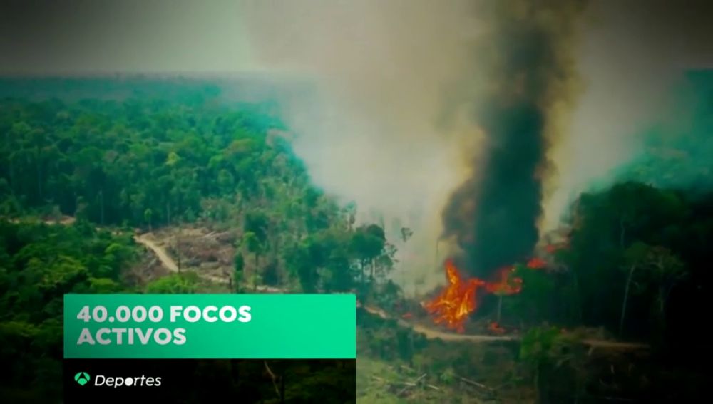 "Sensaciones de impotencia" ante el fuego en el Amazonas, el pulmón del mundo