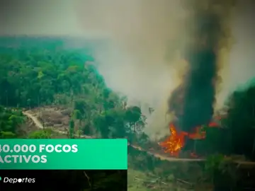 "Sensaciones de impotencia" ante el fuego en el Amazonas, el pulmón del mundo "Sensaciones de impotencia" ante el fuego en el Amazonas, el pulmón del mundo