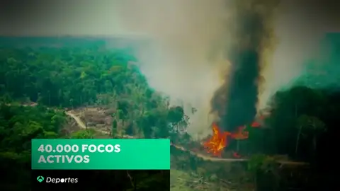 "Sensaciones de impotencia" ante el fuego en el Amazonas, el pulmón del mundo "Sensaciones de impotencia" ante el fuego en el Amazonas, el pulmón del mundo
