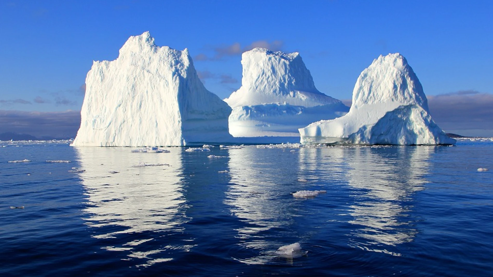 Icebergs Icebergs
