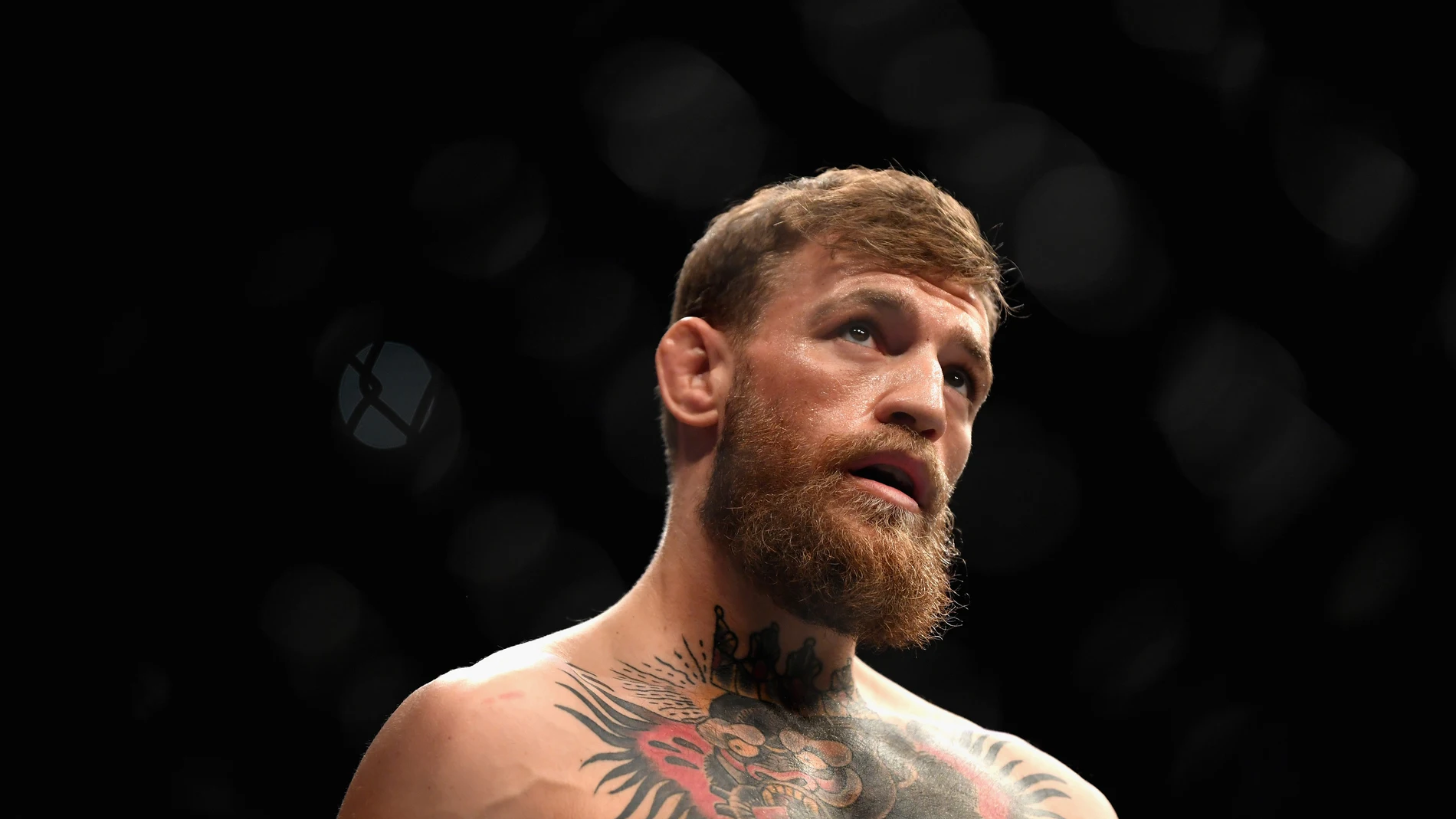 Conor McGregor en un combate Conor McGregor en un combate