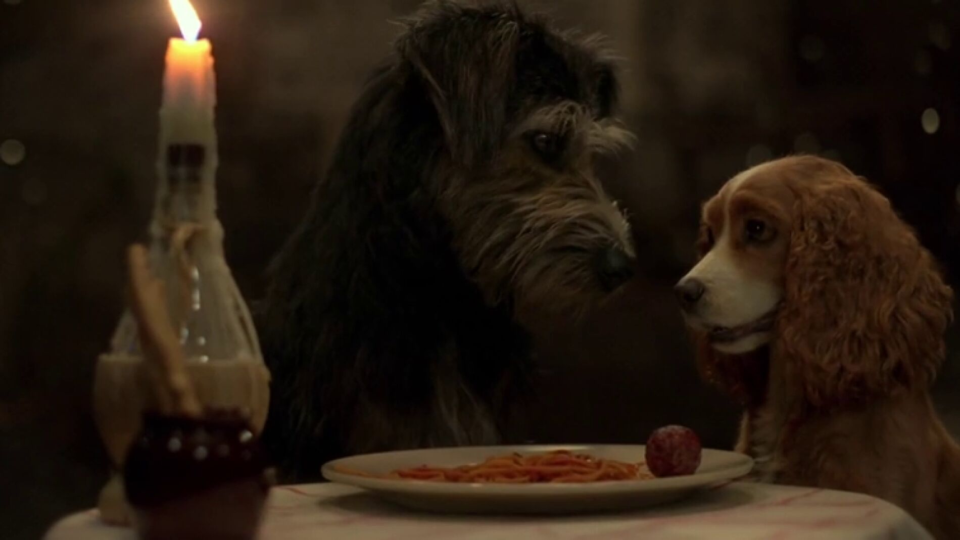 El remake en acción real de 'La Dama y el Vagabundo' ya tiene tráiler 