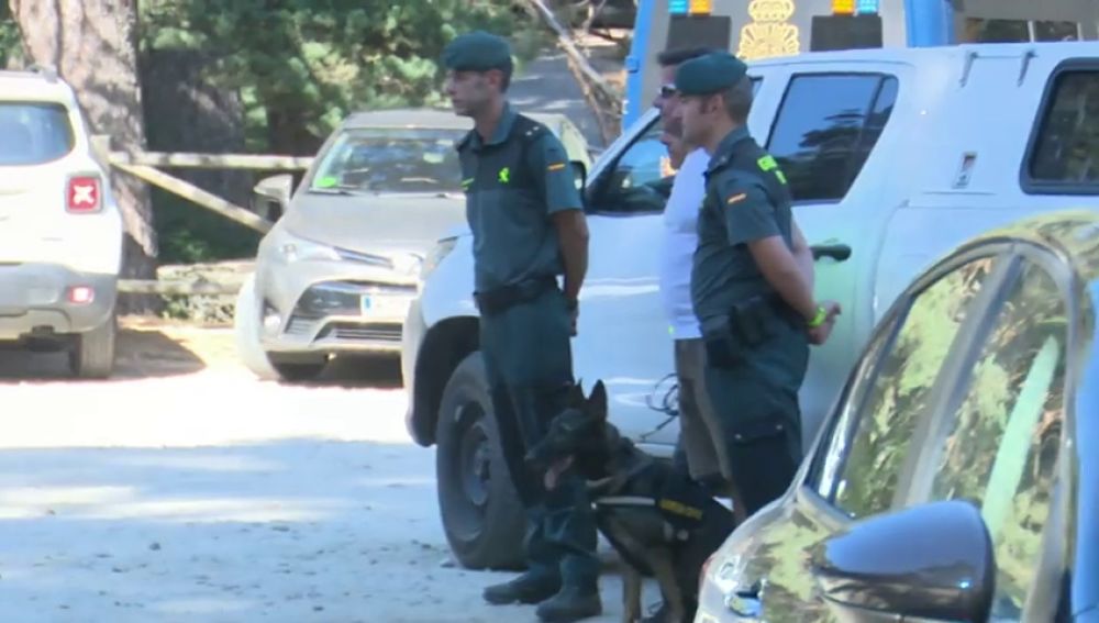 Xena, la perra de la Guardia Civil que encontró el cuerpo de Blanca Fernández Ochoa en su día libre
