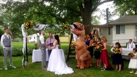 Una dama de honor se presenta en la boda de su hermana vestida de dinosaurio Una dama de honor se presenta en la boda de su hermana vestida de dinosaurio