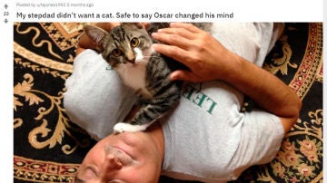 No quería un gato