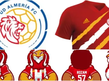 Los cambios que propone la UD Almería Los cambios que propone la UD Almería