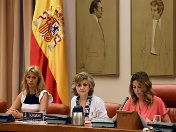 La ministra de Sanidad, Consumo y Bienestar Social en funciones, María Luisa Carcedo La ministra de Sanidad, Consumo y Bienestar Social en funciones, María Luisa Carcedo