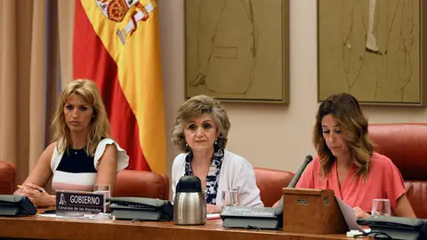 La ministra de Sanidad, Consumo y Bienestar Social en funciones, María Luisa Carcedo La ministra de Sanidad, Consumo y Bienestar Social en funciones, María Luisa Carcedo