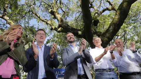 El PP de Galicia estrena curso político. El PP de Galicia estrena curso político.