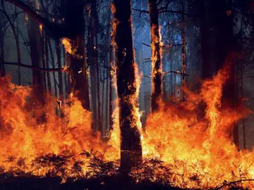 La aldea de A Carballosa, en Porto do Son ha sido afectada por un gran incendio forestal La aldea de A Carballosa, en Porto do Son ha sido afectada por un gran incendio forestal