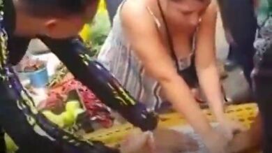 Una turista británica pierde los papeles al ver gallinas de corral enjauladas