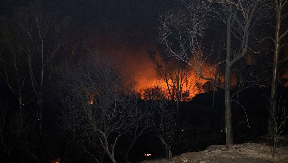 Imagen de la llamas producidas por el incendio forestal que afecta al paraje de la localidad sevillana de El Ronquillo