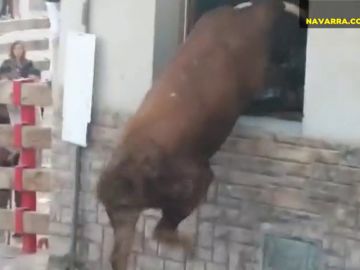 Un toro intenta colarse en una casa en pleno encierro de Navarra Un toro intenta colarse en una casa en pleno encierro de Navarra