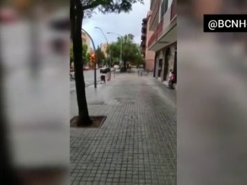 Pelea multitudinaria con palos y botellas en Barcelona Pelea multitudinaria con palos y botellas en Barcelona