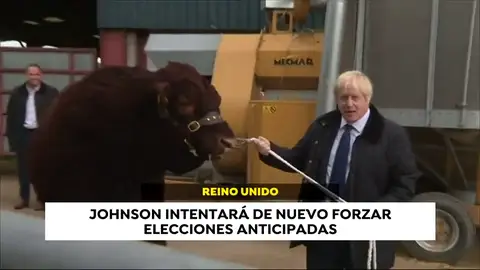 Noticias internacionales de hoy, lunes 9 de septiembre Noticias internacionales de hoy, lunes 9 de septiembre