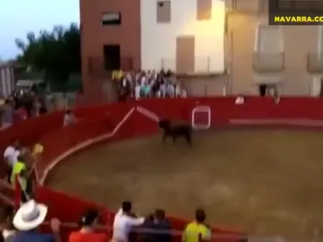 Susto monumental en las fiestas de Milagro al encaramarse un toro en la Susto monumental en las fiestas de Milagro al encaramarse un toro en la