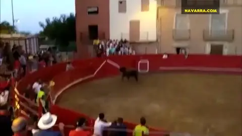Susto monumental en las fiestas de Milagro al encaramarse un toro en la Susto monumental en las fiestas de Milagro al encaramarse un toro en la