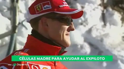 Evolución de Schumacher: "Se busca un tratamiento dirigido a acelerar el proceso de recuperación cerebral del paciente" Evolución de Schumacher: "Se busca un tratamiento dirigido a acelerar el proceso de recuperación cerebral del paciente"