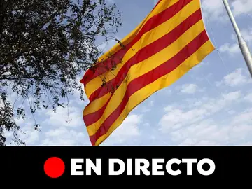 Diada 2019 Diada 2019