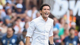 Marcelino Garc&iacute;a Toral, durante un partido del Valencia
