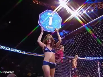 La alcaldesa de Melbourne harta, pide acabar con las 'Octagon Girls' La alcaldesa de Melbourne harta, pide acabar con las 'Octagon Girls'