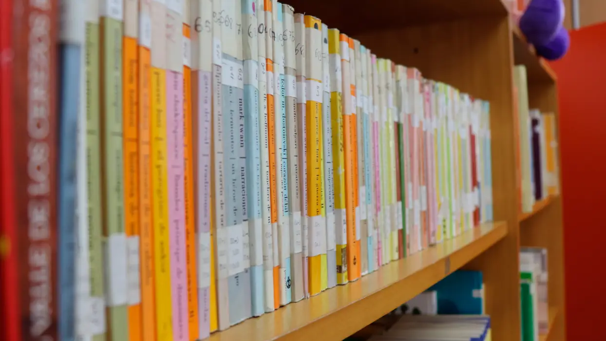 Libros