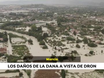 Paisaje desolador en los campos y las insfraestructuras de Murcia y Almería