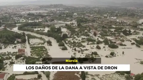 Paisaje desolador en los campos y las insfraestructuras de Murcia y Almería Paisaje desolador en los campos y las insfraestructuras de Murcia y Almería