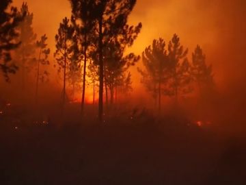 Un incendio arrasa 440 hectáreas en A Gudiña, Ourense