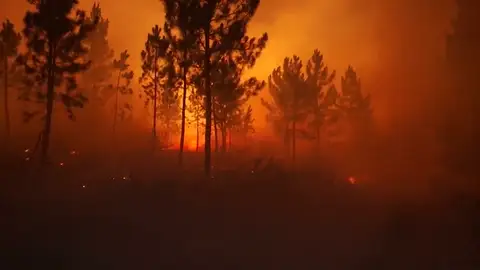 Un incendio arrasa 440 hectáreas en A Gudiña, Ourense Un incendio arrasa 440 hectáreas en A Gudiña, Ourense