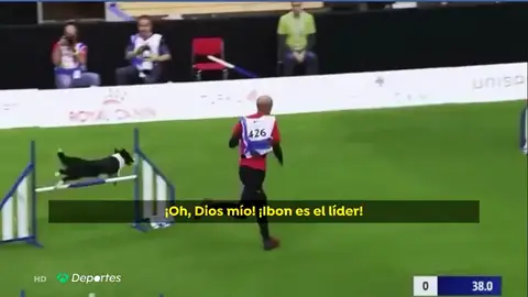 El equipo español gana el mundial por equipos de guía de perros El equipo español gana el mundial por equipos de guía de perros