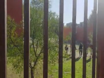 Graban y difunden la paliza a una niña de 14 años a las puertas de un instituto de San Blas (Madrid)