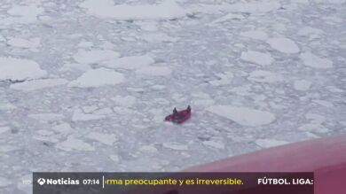 Tres científicos se quedan atrapados en el hielo de la Antártida