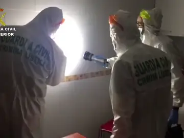 REEMPLAZO Continúan los registros en la casa de Dana Leonte y su novio, ya detenido REEMPLAZO Continúan los registros en la casa de Dana Leonte y su novio, ya detenido