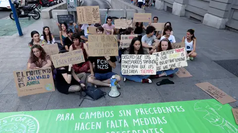 Jóvenes del movimiento estudiantil internacional Fridays For Future Jóvenes del movimiento estudiantil internacional Fridays For Future