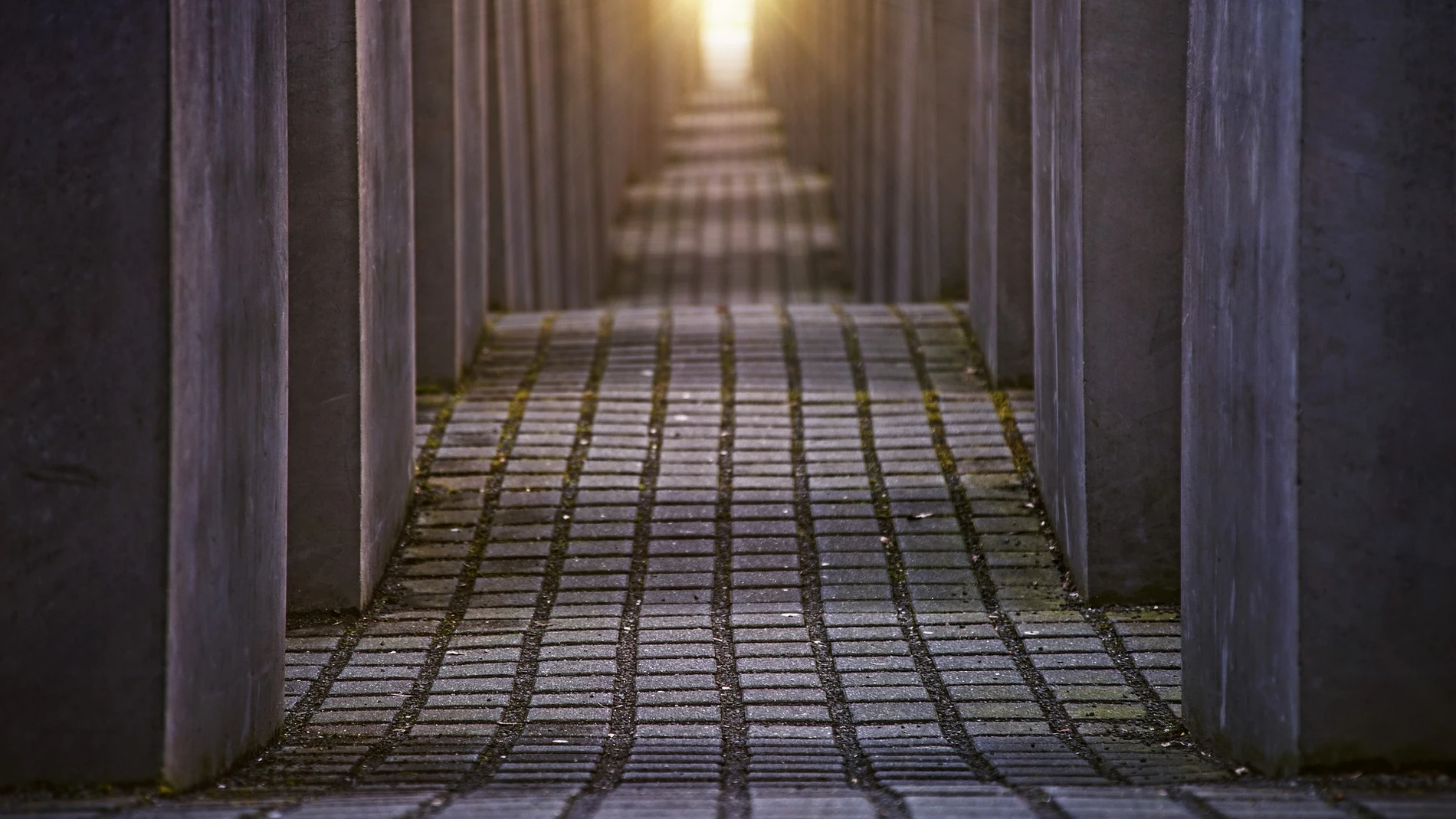 Día de conmemoración de las víctimas del Holocausto 2020: ¿Por qué se celebra el 27 de enero? Día de conmemoración de las víctimas del Holocausto 2020: ¿Por qué se celebra el 27 de enero?