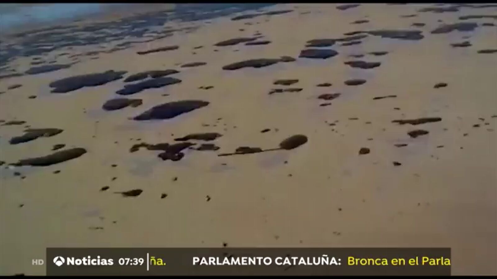 Brasil investiga el origen de unas manchas de petróleo que han aparecido en 99 playas