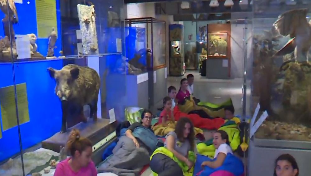 Niños duermen en el Museo Nacional de las Ciencias Naturales
