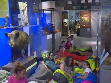 Niños duermen en el Museo Nacional de las Ciencias Naturales