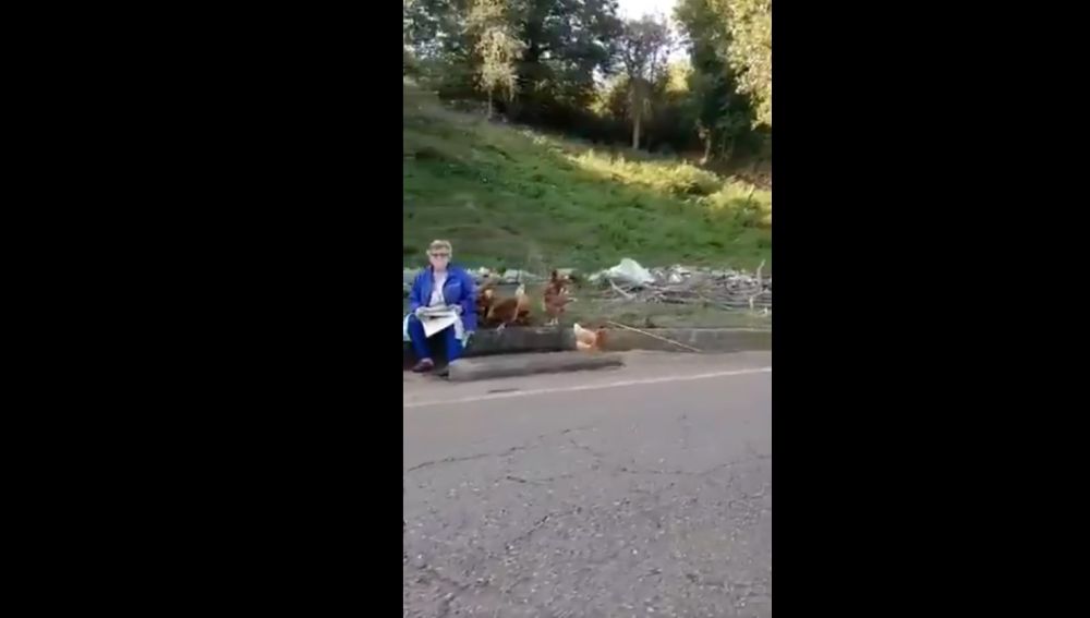 La señora junto a las gallinas