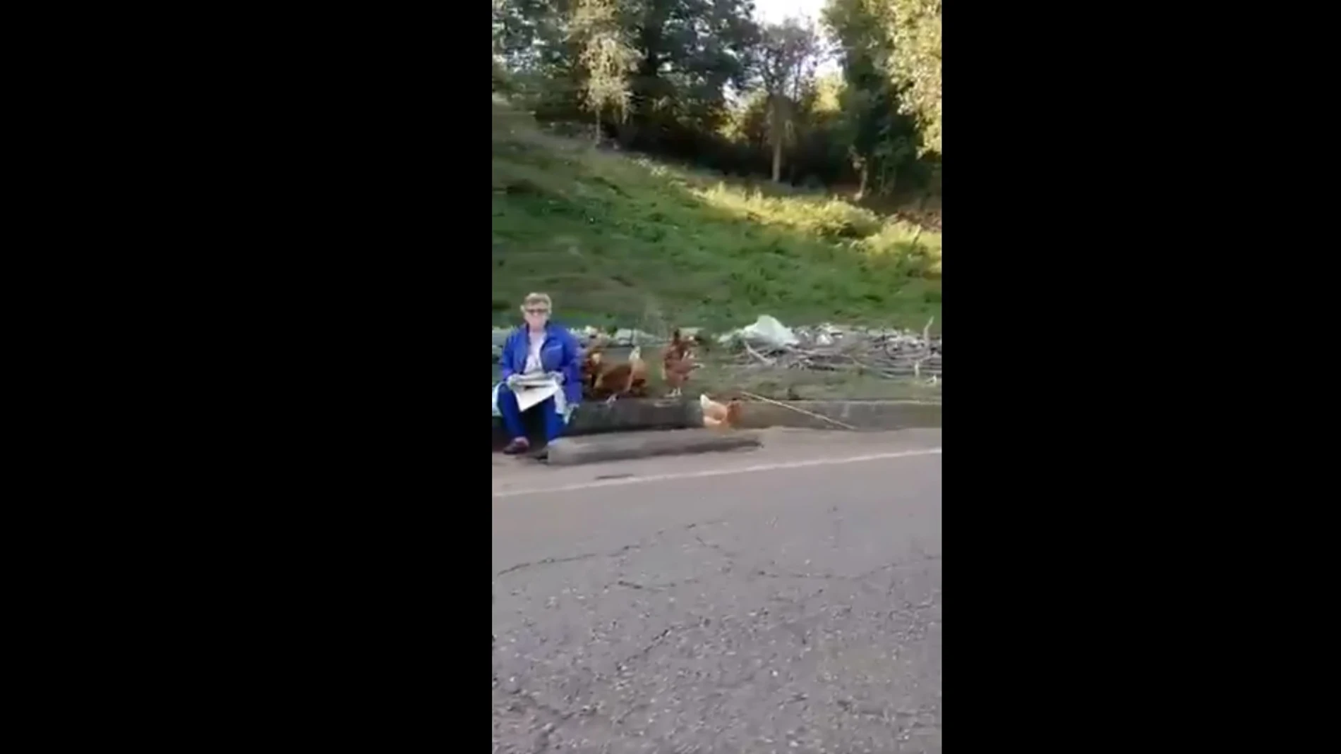 La señora junto a las gallinas La señora junto a las gallinas