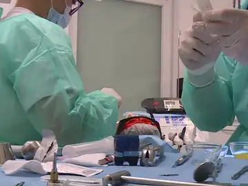 Cada familia se gasta, de media, 435 euros al año en salud bucodental Cada familia se gasta, de media, 435 euros al año en salud bucodental
